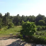 Andreja