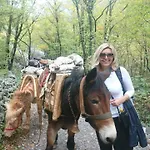아파트 Andreja *