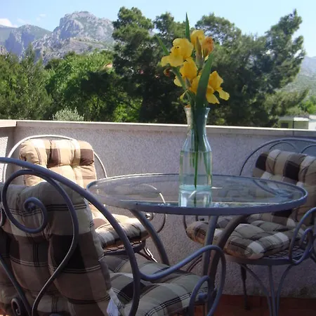 Apartament Andreja *