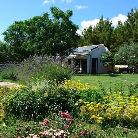 Apartment Apartments Villa Andreja