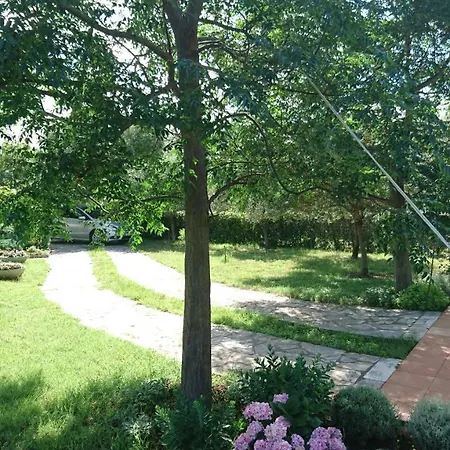 Apartments Villa Andreja Starigrad Paklenica