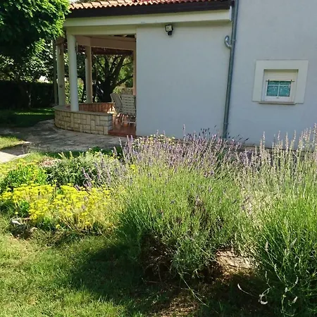 Apartments Villa Andreja Starigrad Paklenica