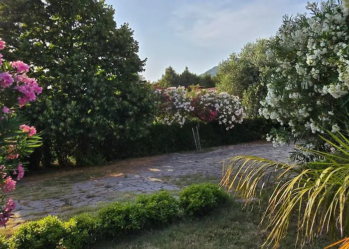 Apartment Apartments Villa Andreja *