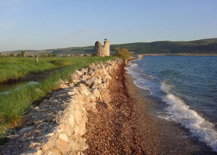 Апартаменты Andreja *