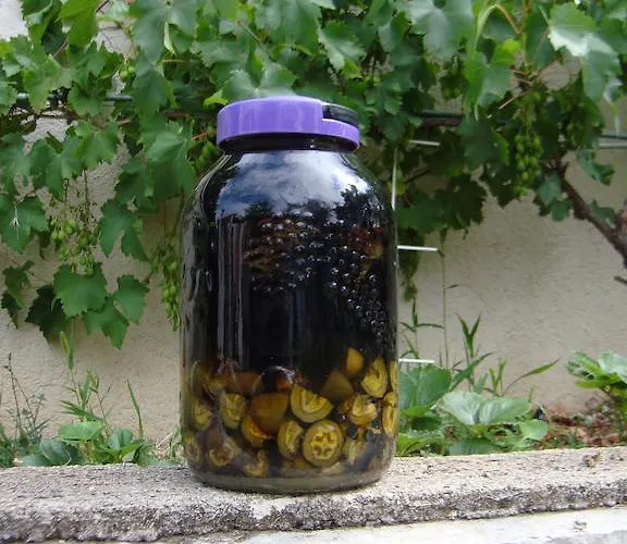 Апартаменты Andreja *