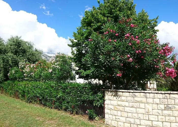 Apartment Apartments Villa Andreja