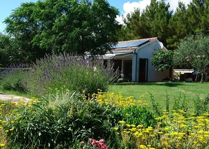 Apartment Apartments Villa Andreja