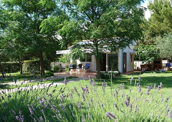 Andreja Стариград-Пакленица