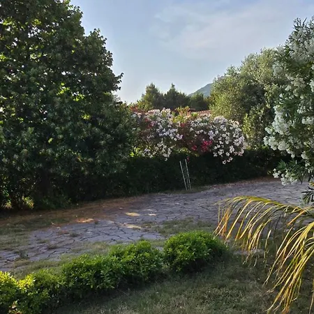 Apartament Andreja *