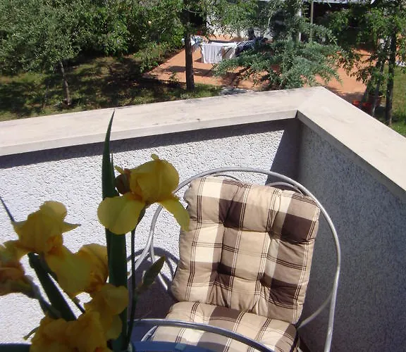 Apartament Andreja *