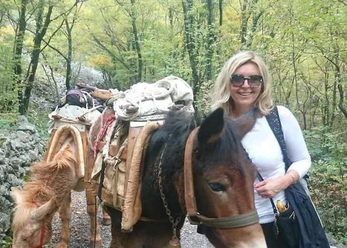 Apartament Andreja *