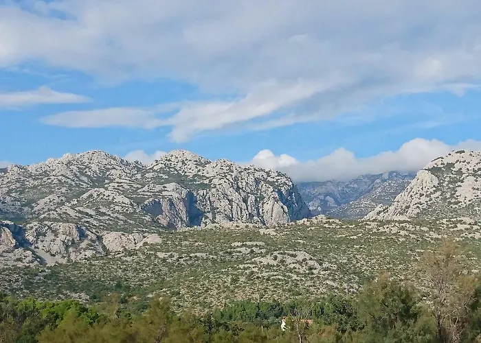 Andreja Apartament *